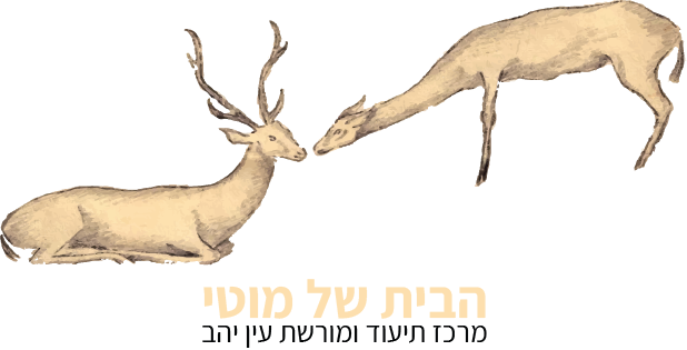 הבית של מוטי
